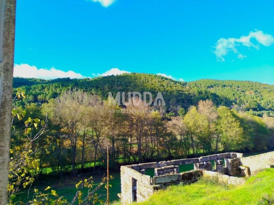 Moradia T1 para Venda em Eiras, São Julião de Montenegro e Cela Foto 4