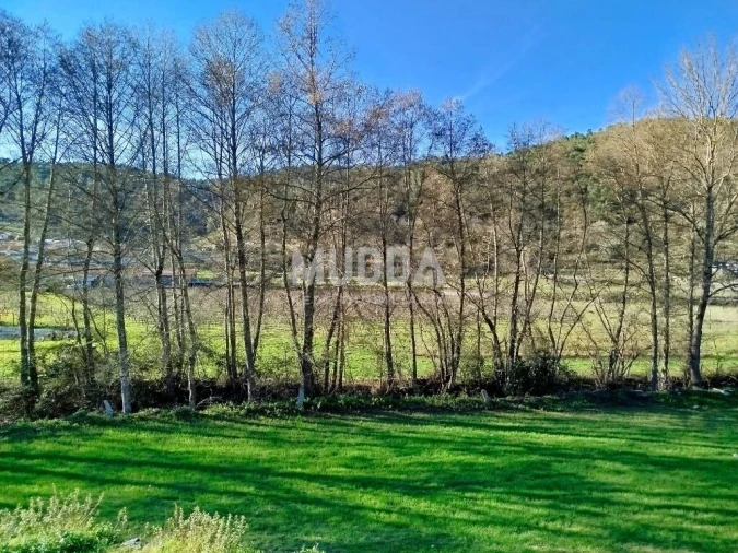 Moradia T1 para Venda em Eiras, São Julião de Montenegro e Cela Foto 5