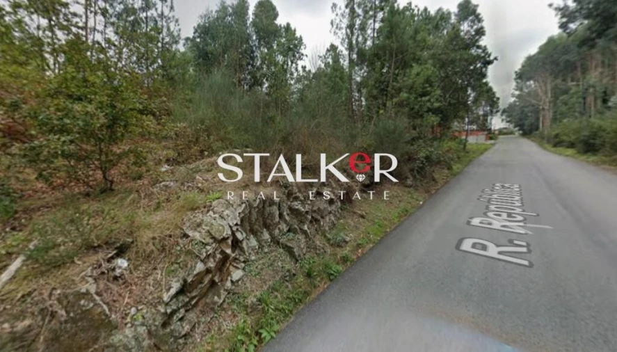 Terreno para Venda em Lobão, Gião, Louredo e Guisande Foto 13