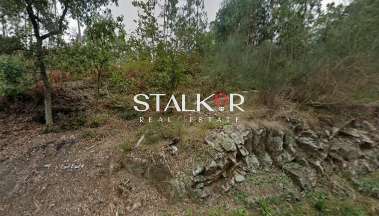 Terreno para Venda em Lobão, Gião, Louredo e Guisande Foto 4