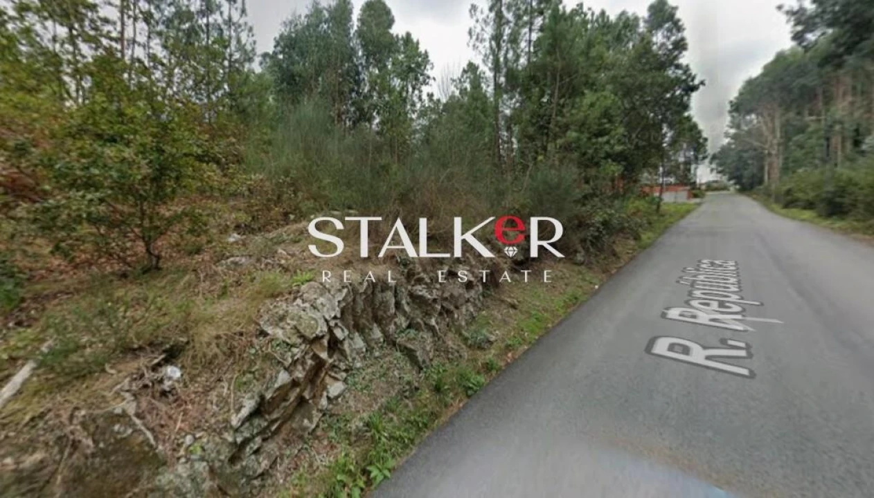 Terreno para Venda em Lobão, Gião, Louredo e Guisande Foto 5