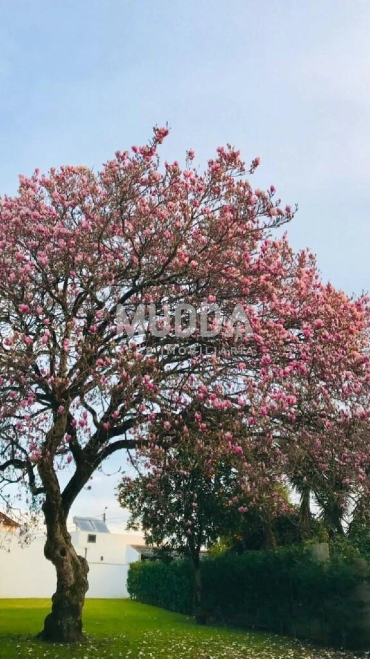 Moradia T5 para Venda em Ovar, São João, Arada e São Vicente de Pereira Jusã Foto 40