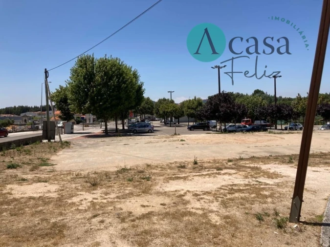 Terreno para Venda em Ferreira do Zezere Foto 5