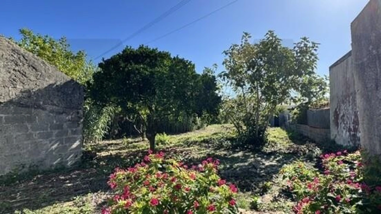 Prédio para Venda em Lavos Foto 6