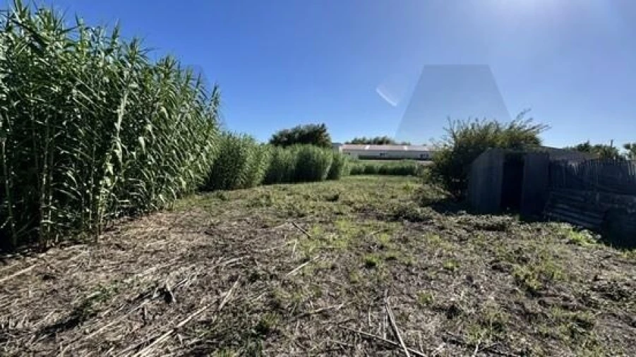 Prédio para Venda em Lavos Foto 11