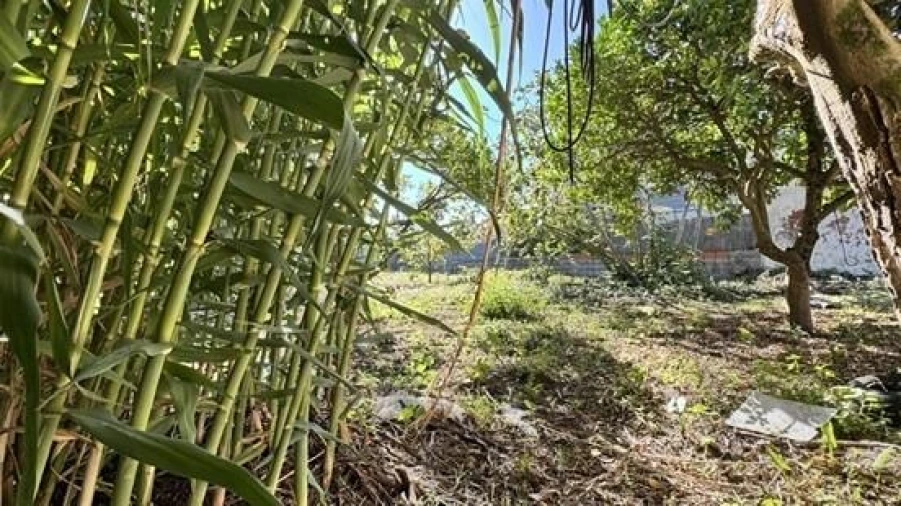 Prédio para Venda em Lavos Foto 31