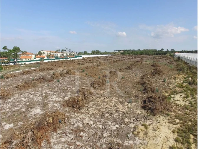 Terreno para Venda em A dos Cunhados e Maceira Foto 21