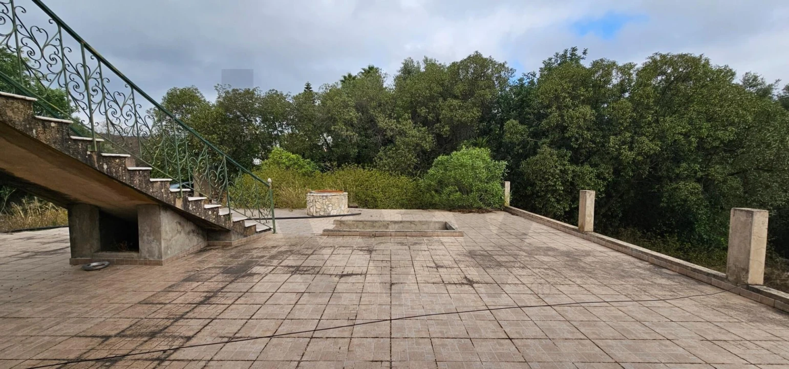 Terreno para Venda em Loule (São Clemente) Foto 17