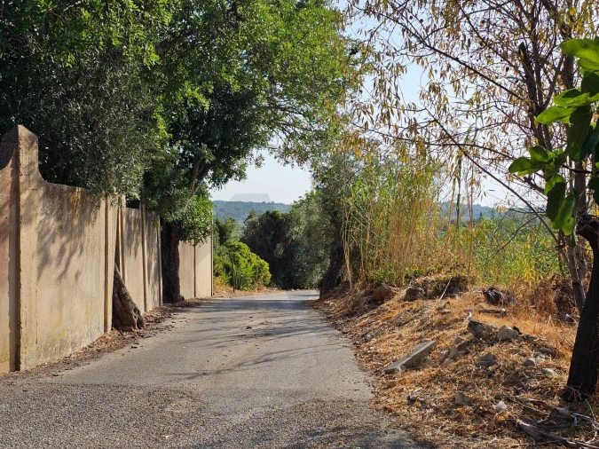 Terreno para Venda em Loule (São Clemente) Foto 6