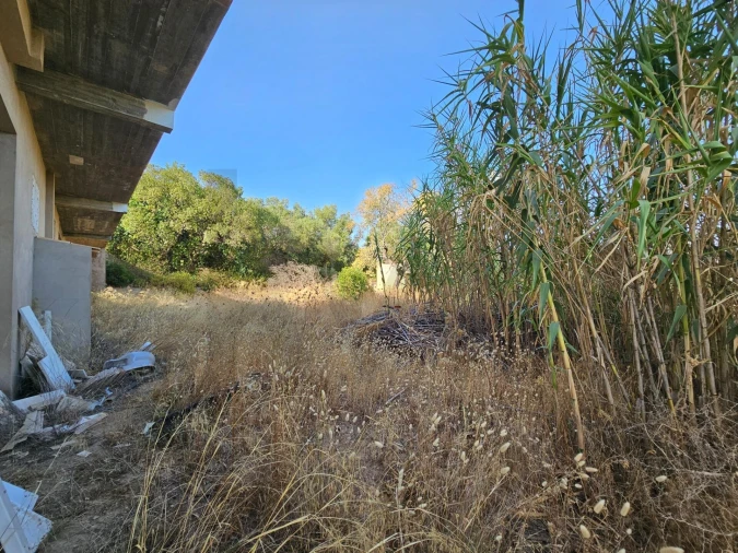 Terreno para Venda em Loule (São Clemente) Foto 16