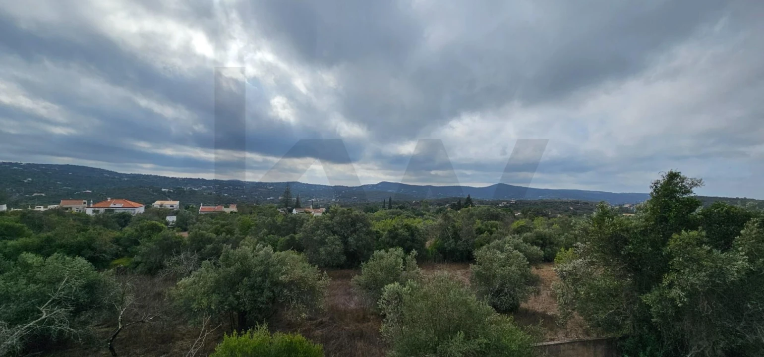 Terreno para Venda em Loule (São Clemente) Foto 15