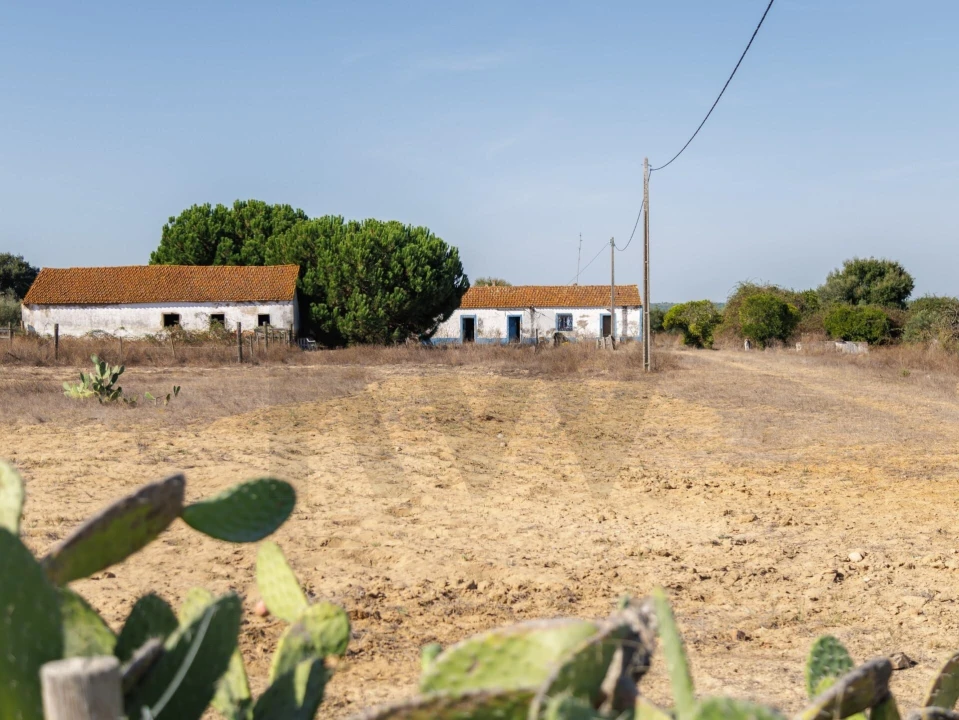 Terreno para Venda em Santa Maria do Castelo e Santiago e Santa Susana Foto 4