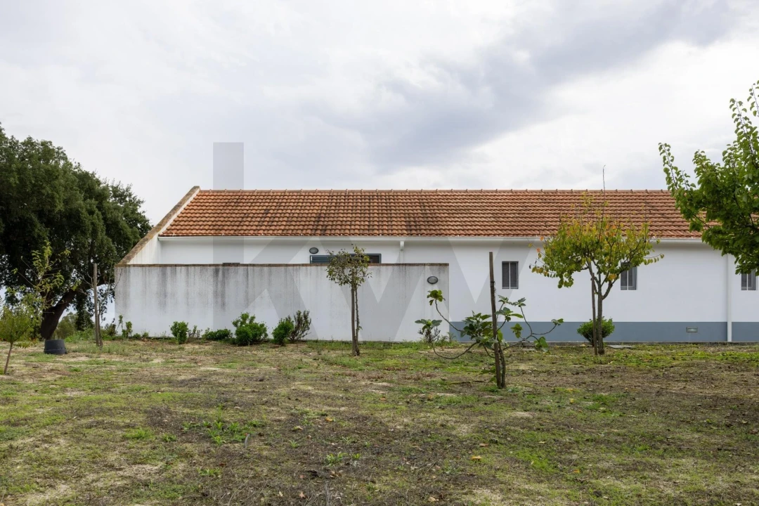 Quinta T3 para Venda em Cortiçadas de Lavre e Lavre Foto 26