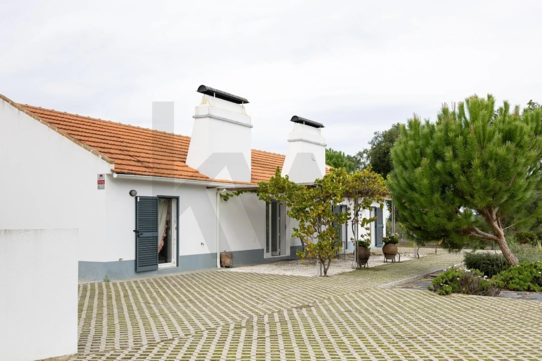 Quinta T3 para Venda em Cortiçadas de Lavre e Lavre Foto 24