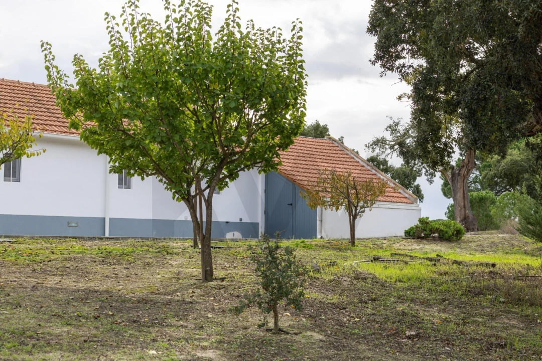 Quinta T3 para Venda em Cortiçadas de Lavre e Lavre Foto 25