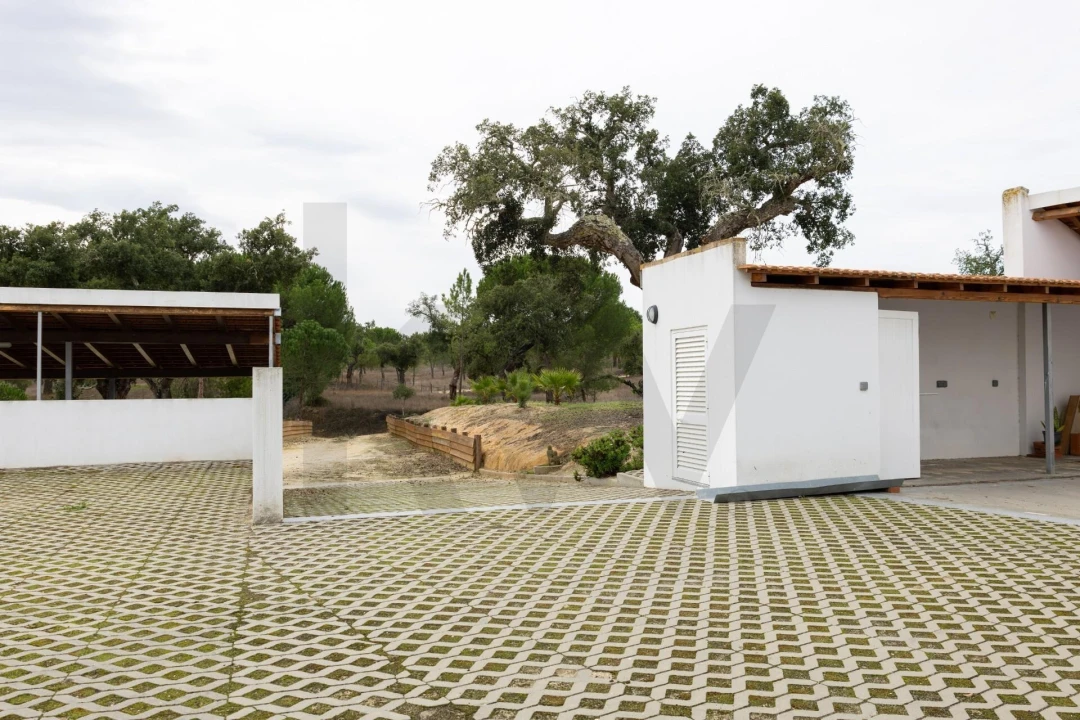 Quinta T3 para Venda em Cortiçadas de Lavre e Lavre Foto 22