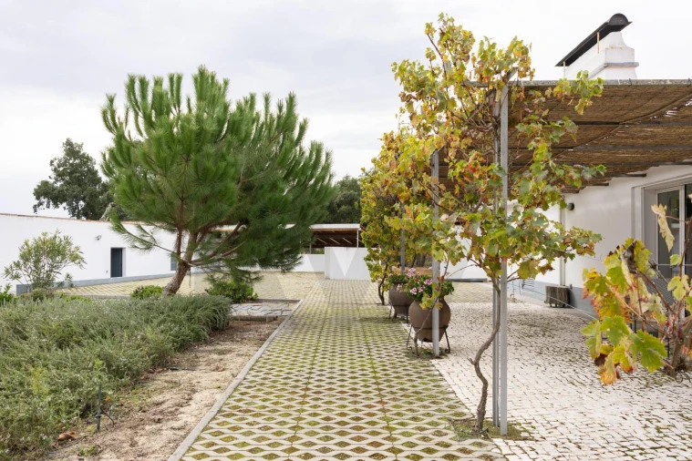 Quinta T3 para Venda em Cortiçadas de Lavre e Lavre Foto 20