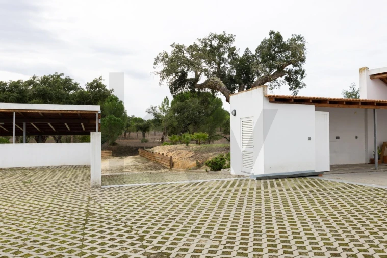 Quinta T3 para Venda em Cortiçadas de Lavre e Lavre Foto 22