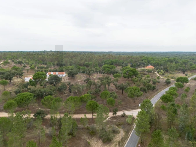 Quinta T3 para Venda em Cortiçadas de Lavre e Lavre Foto 47