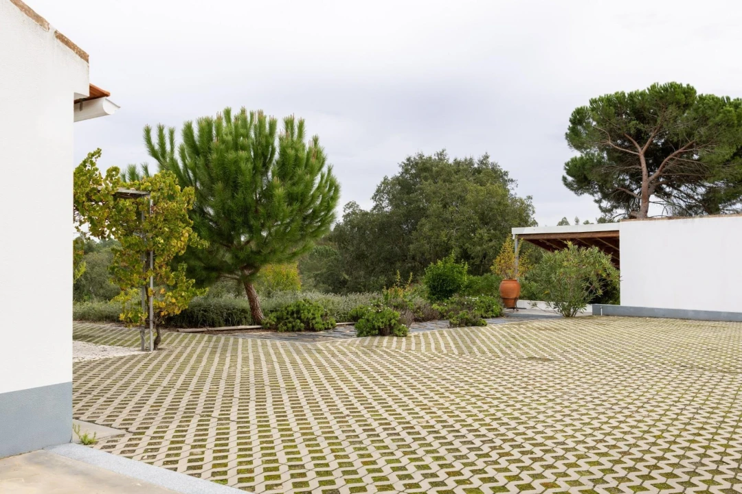 Quinta T3 para Venda em Cortiçadas de Lavre e Lavre Foto 21