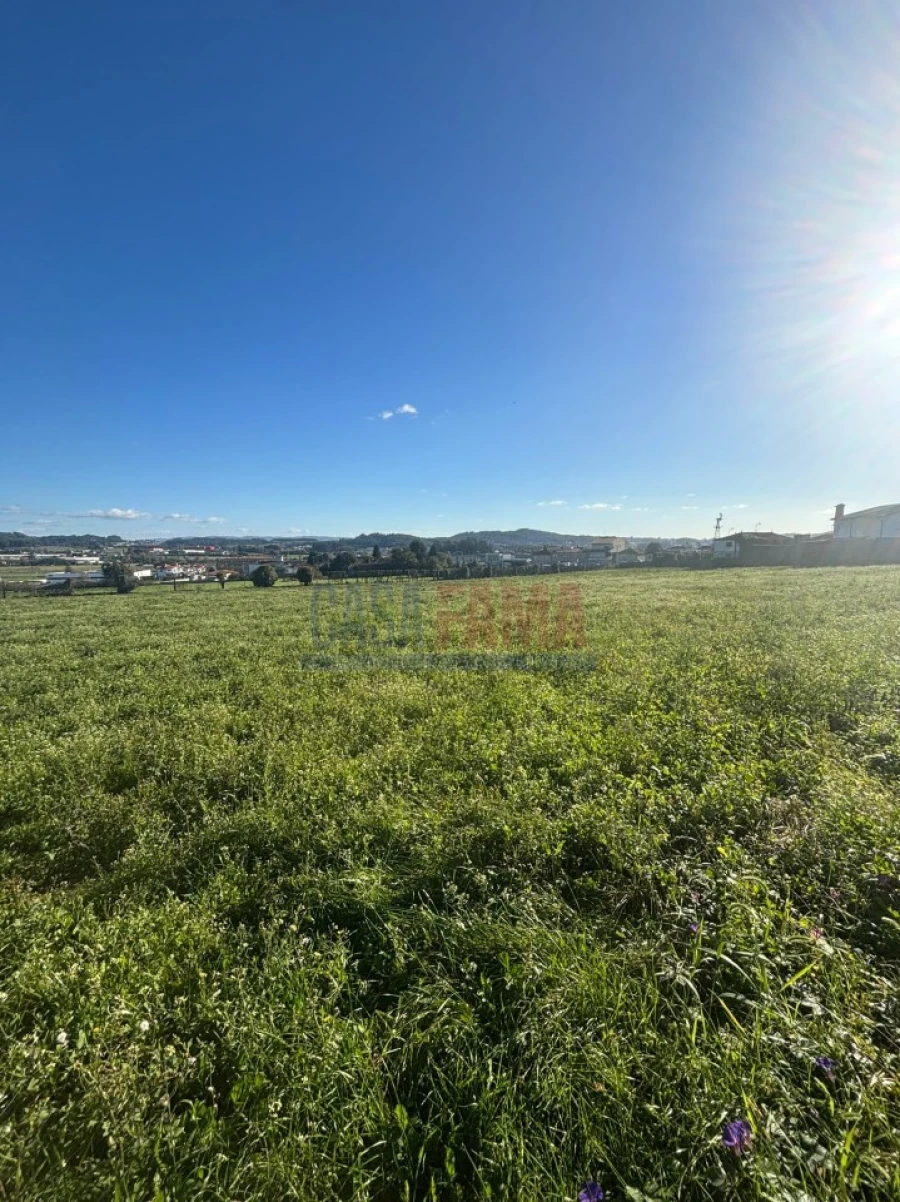 Terreno para Venda em Viatodos, Grimancelos, Minhotães, Monte Fralães Foto 3