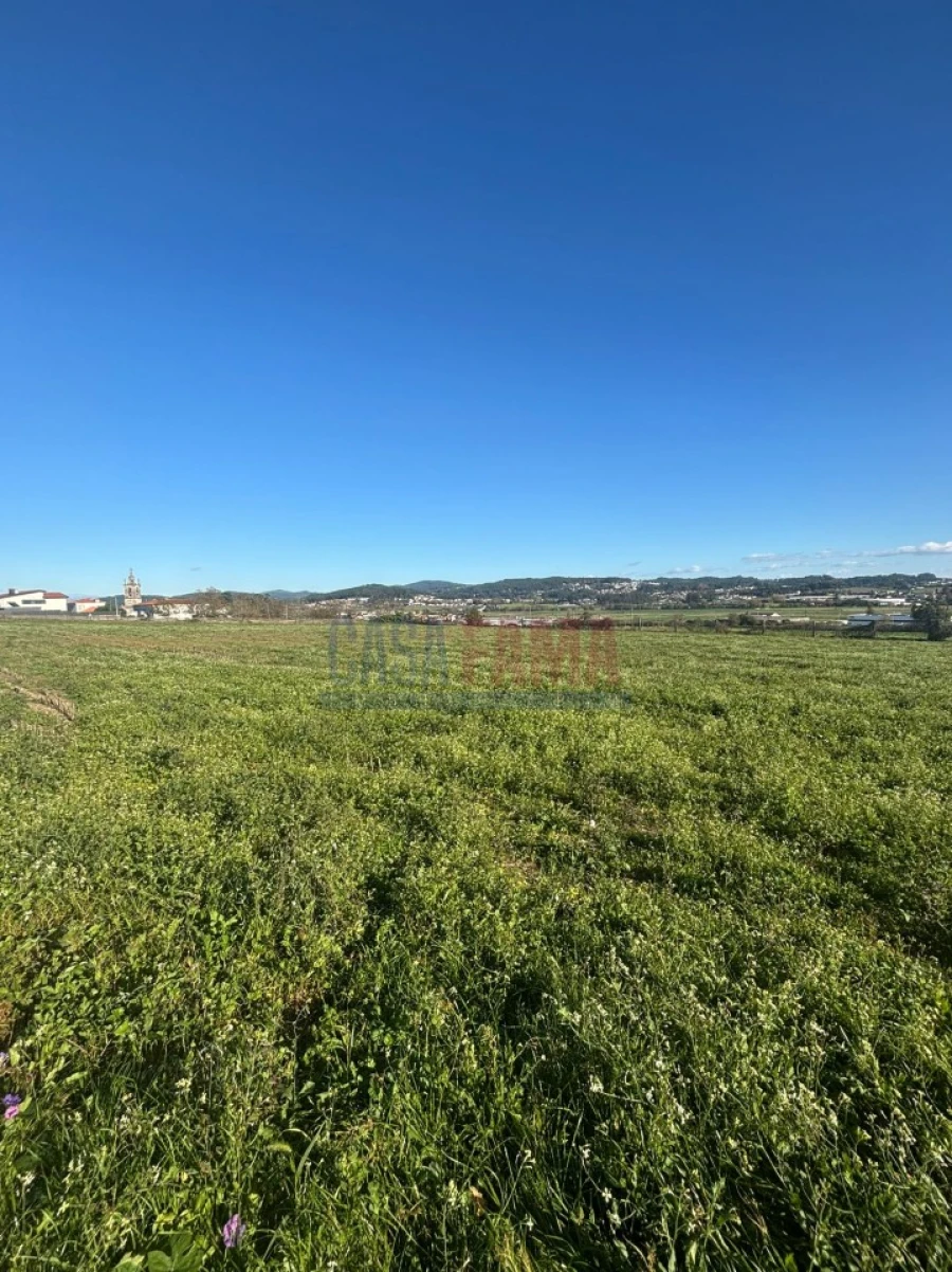 Terreno para Venda em Viatodos, Grimancelos, Minhotães, Monte Fralães Foto 2