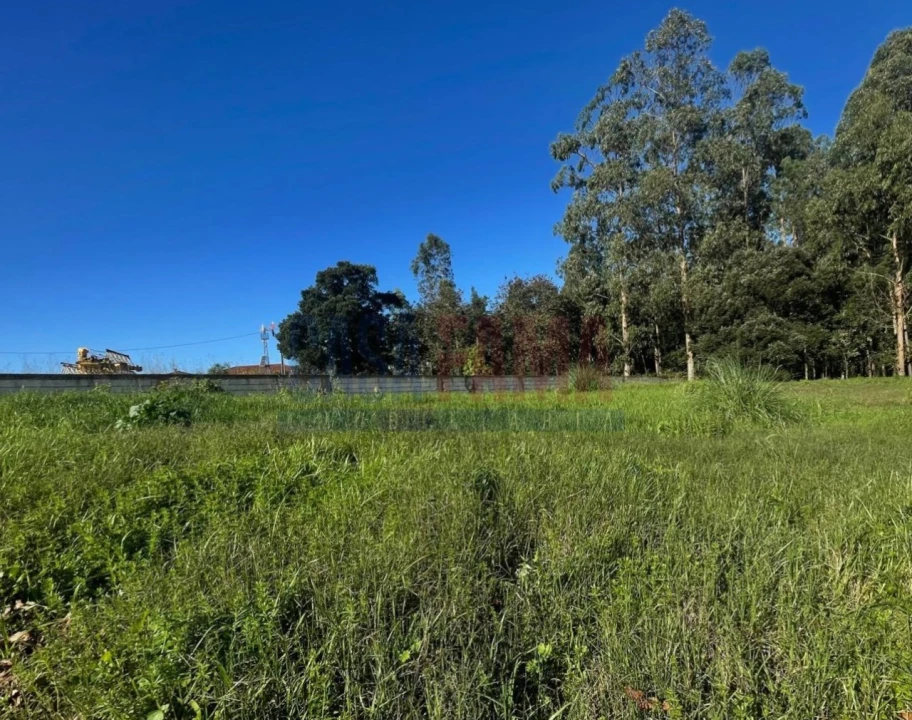 Terreno para Venda em Laundos Foto 19