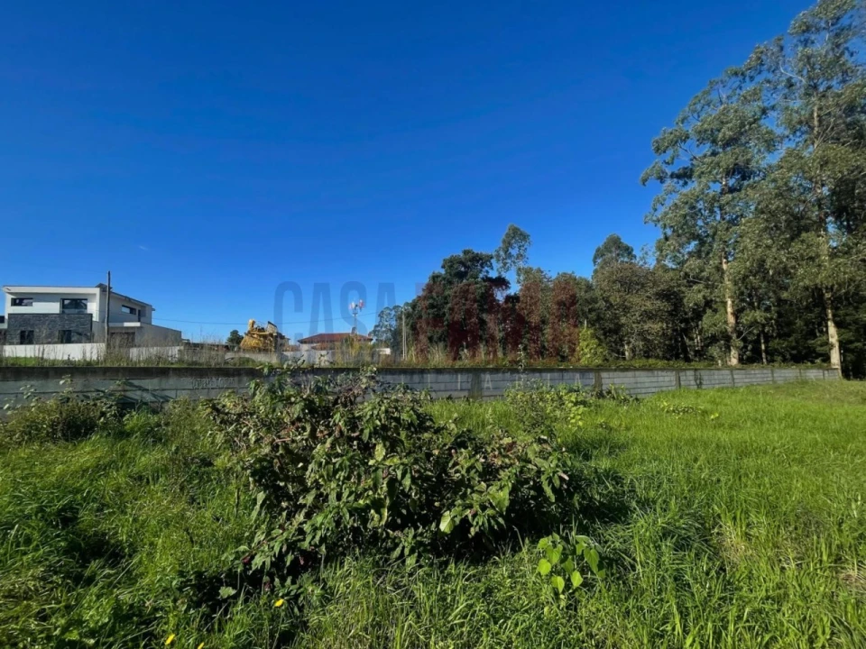 Terreno para Venda em Laundos Foto 22