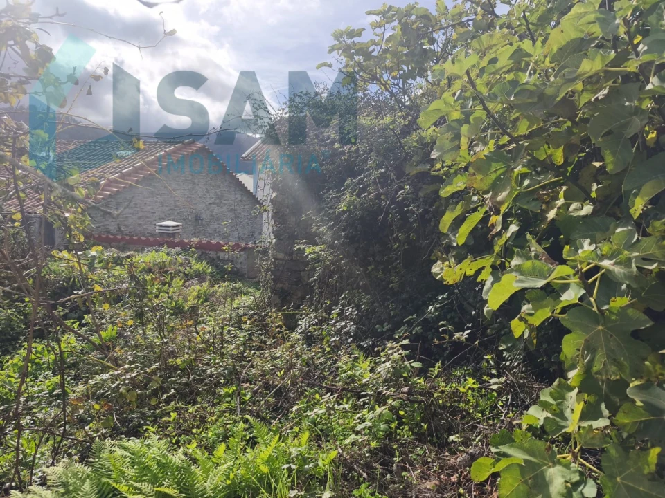 Moradia T3 para Venda em Gois Foto 4