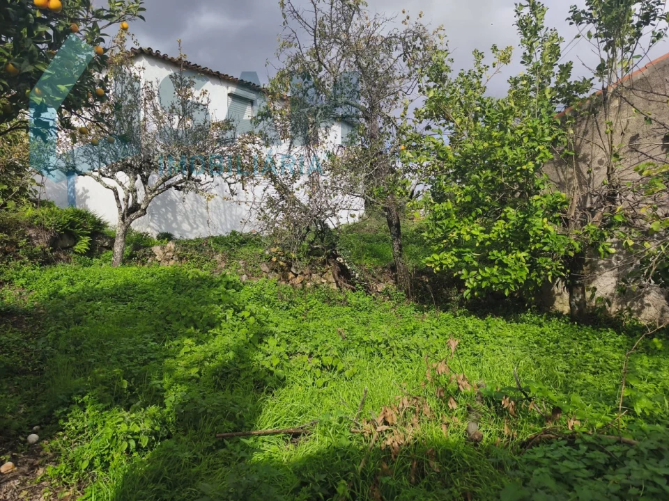 Moradia T3 para Venda em Gois Foto 13