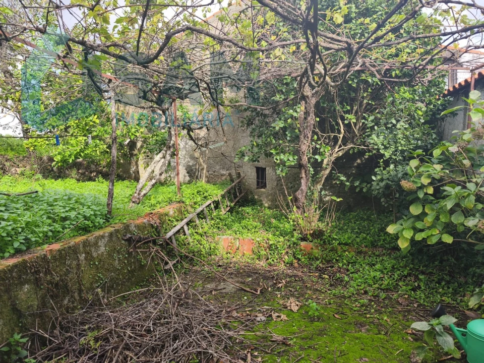 Moradia T3 para Venda em Gois Foto 14