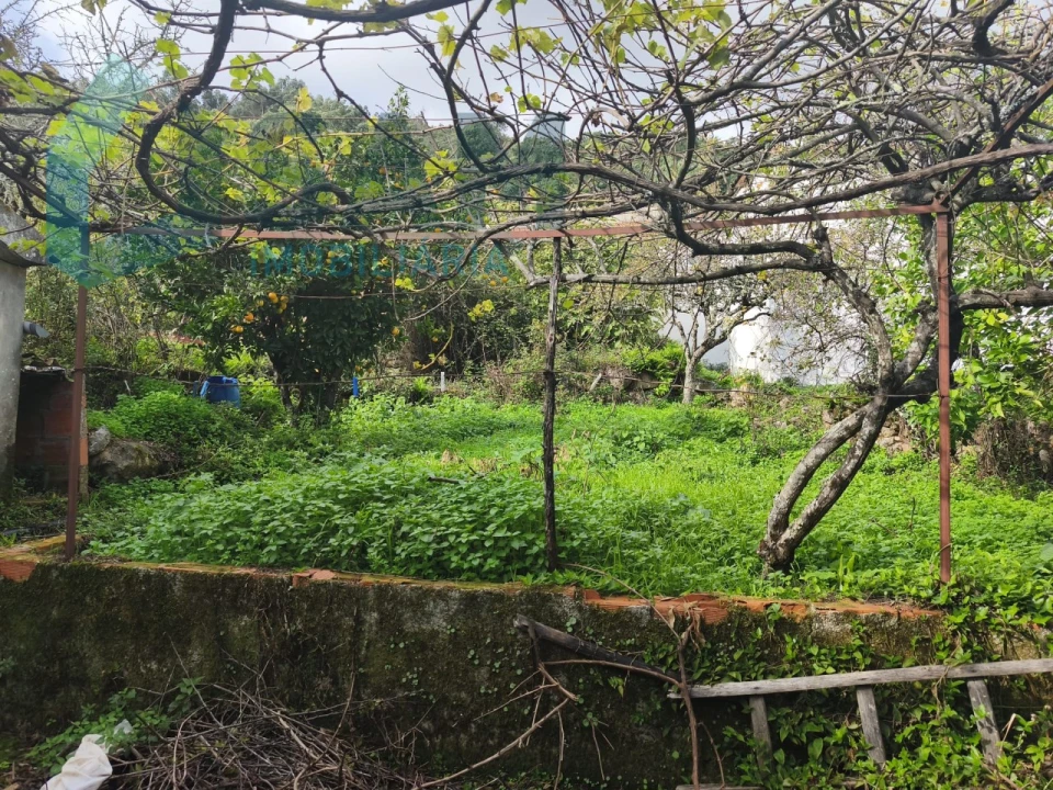 Moradia T3 para Venda em Gois Foto 16