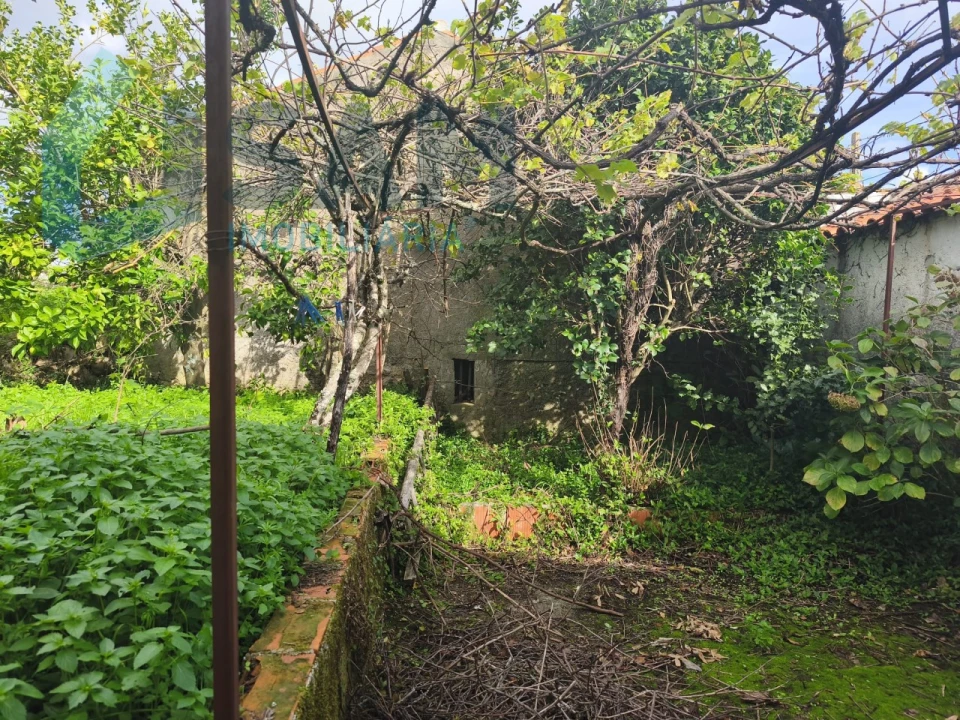 Moradia T3 para Venda em Gois Foto 17