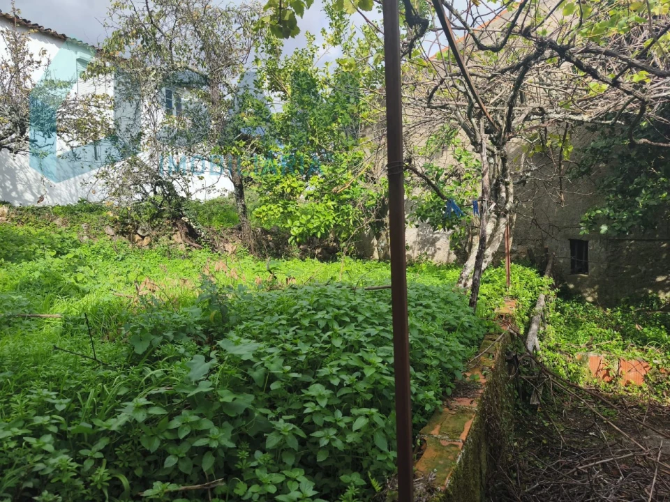 Moradia T3 para Venda em Gois Foto 18