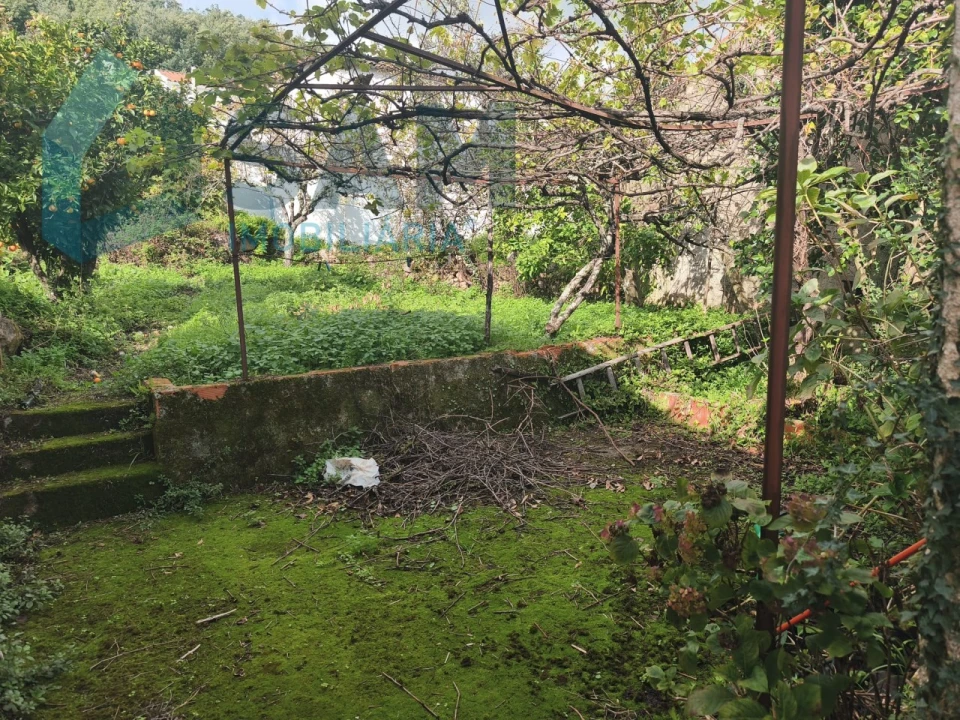 Moradia T3 para Venda em Gois Foto 19