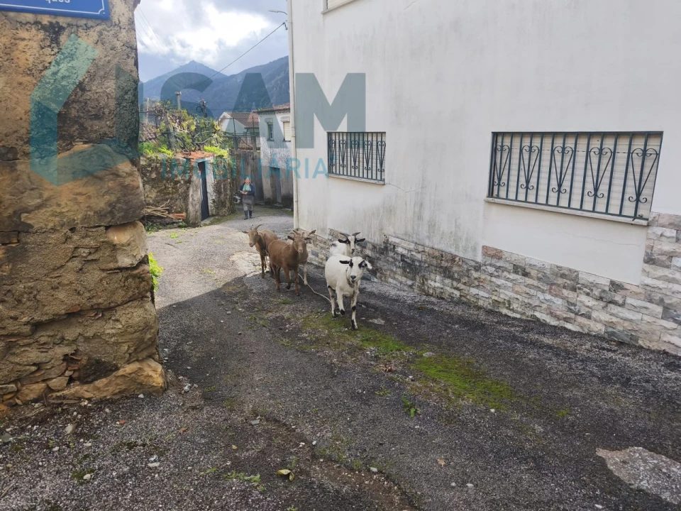 Moradia T3 para Venda em Gois Foto 46