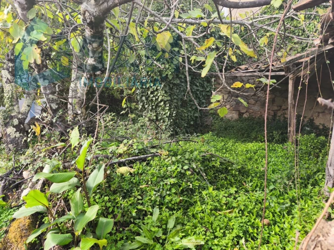 Moradia T3 para Venda em Gois Foto 8