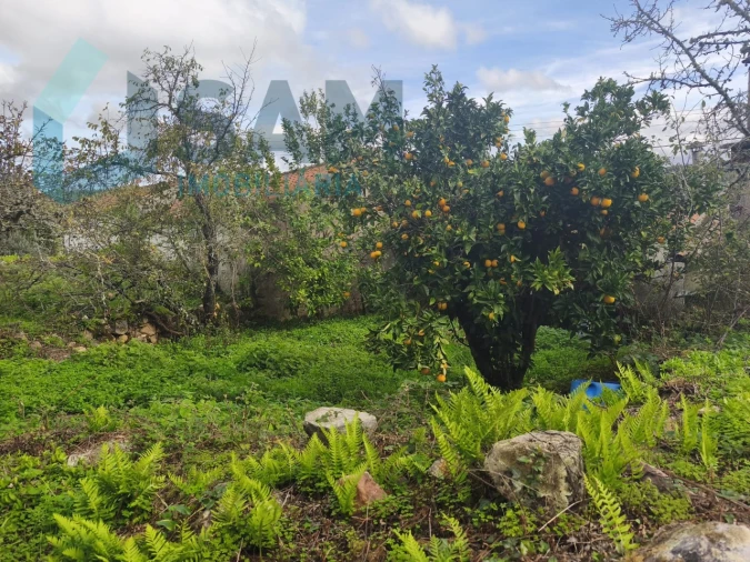 Moradia T3 para Venda em Gois Foto 10