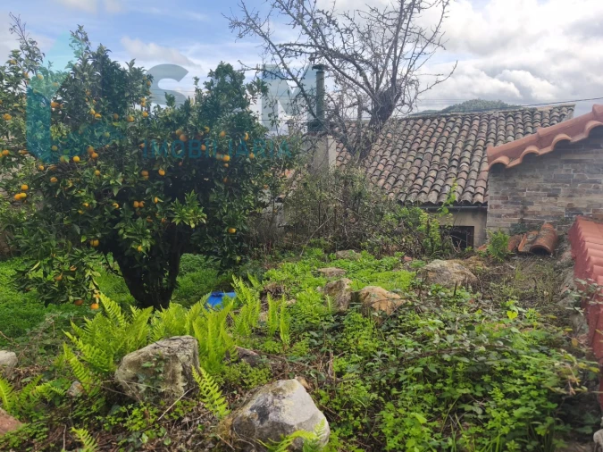 Moradia T3 para Venda em Gois Foto 4