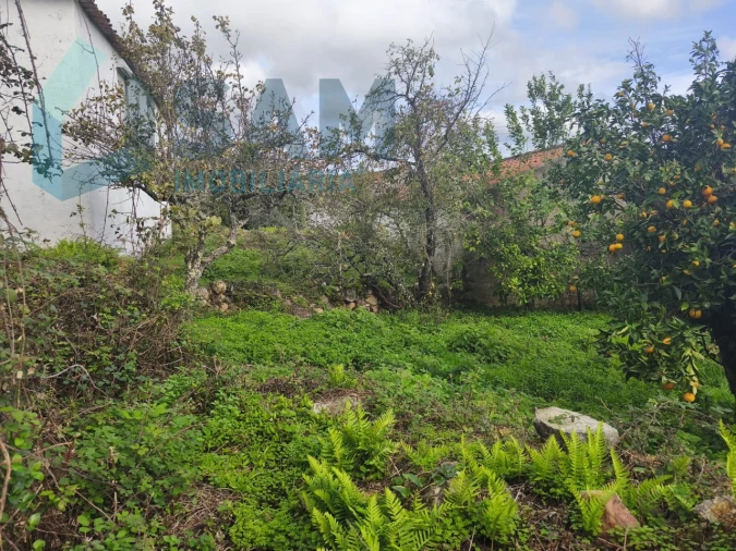 Moradia T3 para Venda em Gois Foto 11