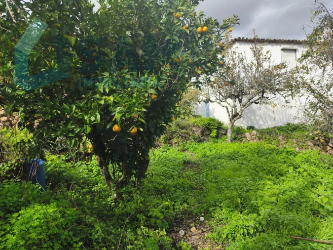 Moradia T3 para Venda em Gois Foto 12