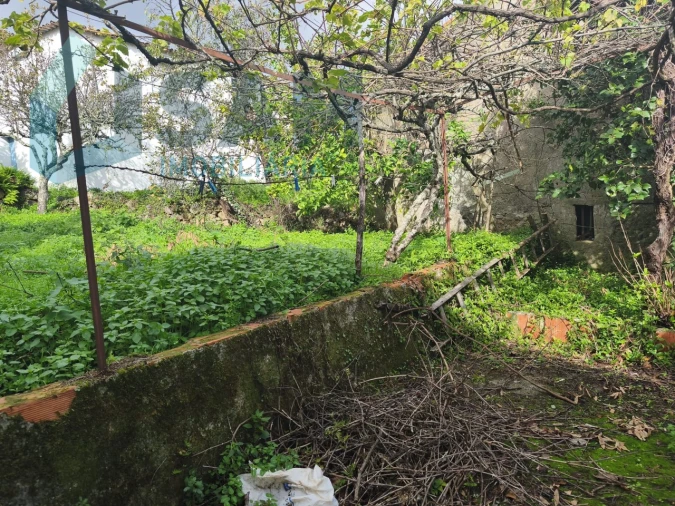 Moradia T3 para Venda em Gois Foto 15