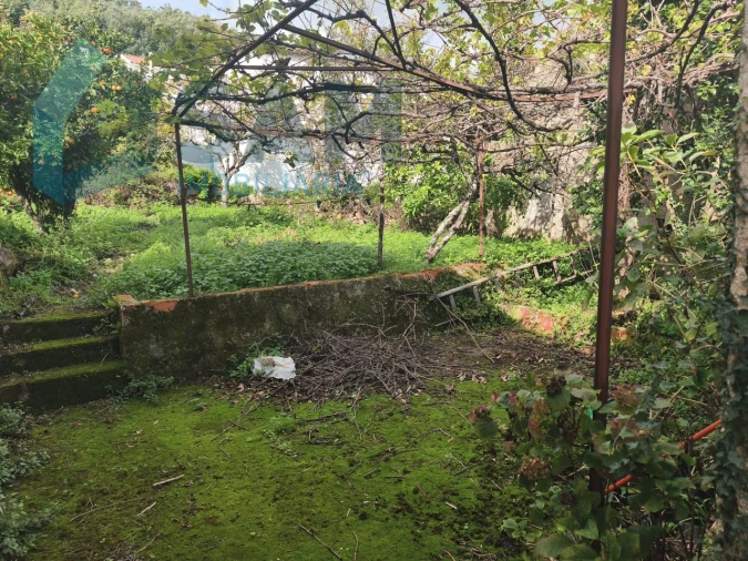 Moradia T3 para Venda em Gois Foto 19