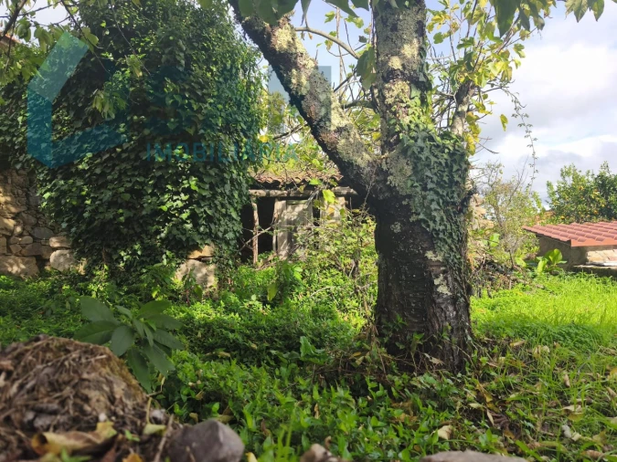 Moradia T3 para Venda em Gois Foto 45