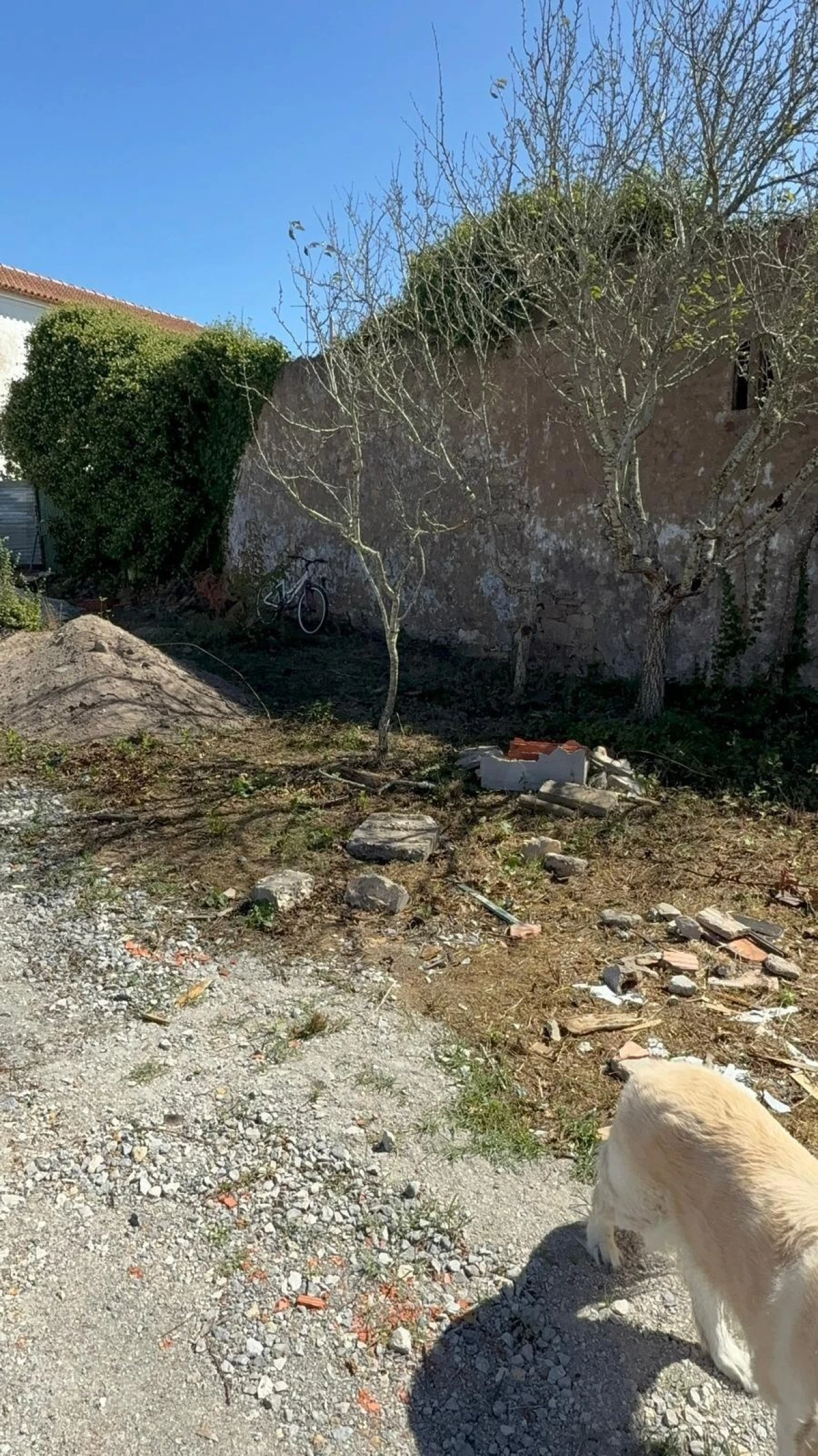 Moradia T2 para Venda em Carvalhal Foto 5