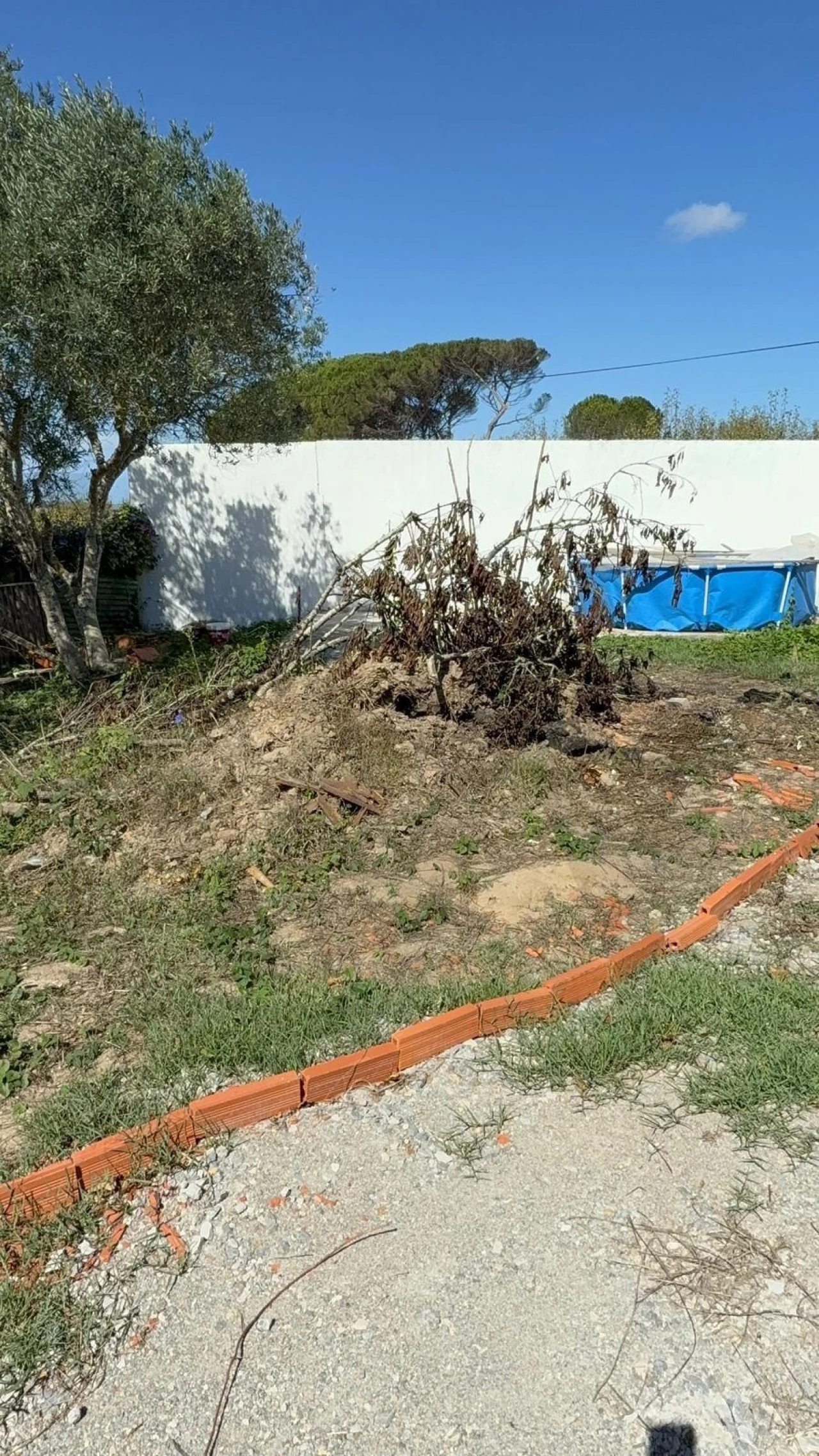 Moradia T2 para Venda em Carvalhal Foto 4