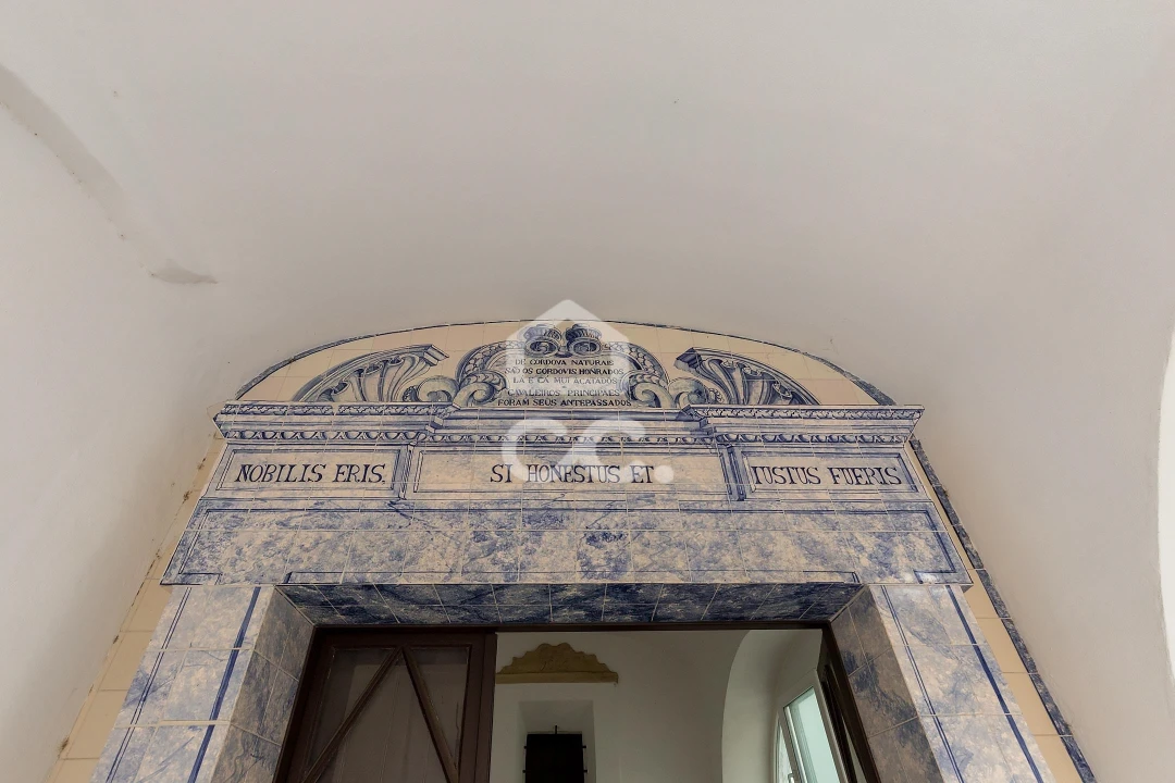 Negócio para Arrendamento em Évora (São Mamede, Sé, São Pedro e Santo Antão) Foto 13