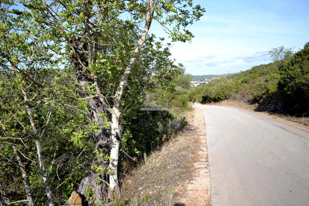 Terreno para Venda em Loule (São Sebastião) Foto 4