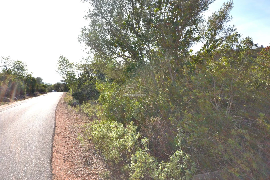 Terreno para Venda em Loule (São Sebastião) Foto 9