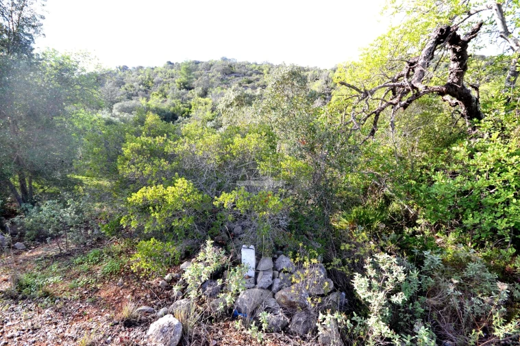 Terreno para Venda em Loule (São Sebastião) Foto 4